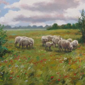 Pasture with Sheep