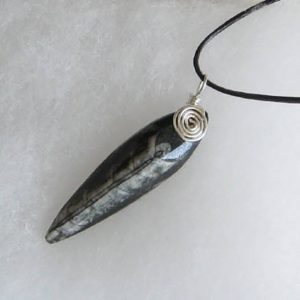 Orthoceras Fossil Pendant