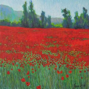 Poppy Field in the Luberon