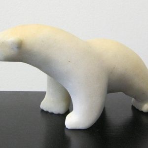 Polar Bear Stepping