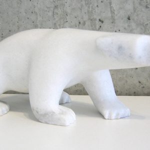 Polar Bear