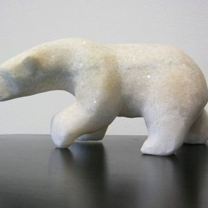 Polar Bear