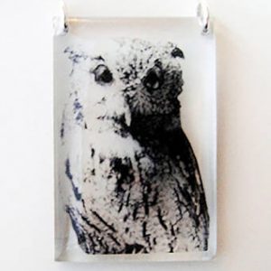 Owl Acrylic Pendant With Silver Chain