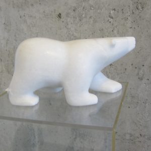 Polar Bear