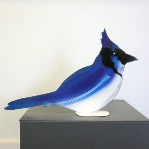 Blue Jay