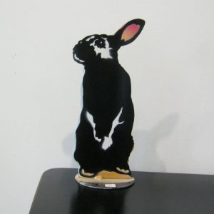 Bunny Standing