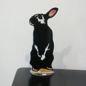 Bunny Standing