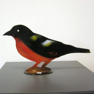 Oriole