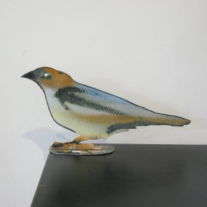 Songbird 1