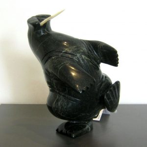 Dancing Walrus