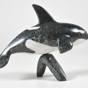 Killer Whale