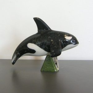 Small Killer Whale
