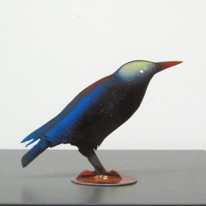 Starling 1