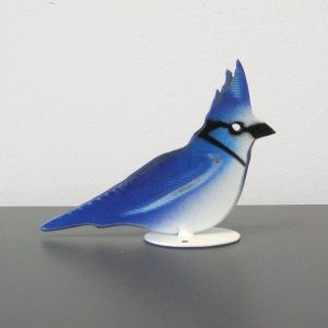 Blue Jay Small