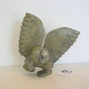 Dancing Owl