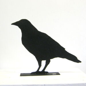 Crow