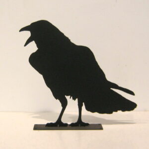 Crow Series
